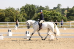 SBM_003446