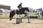 SBM_002290