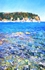 kaleidoscope bay