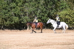 WJ6_7288