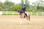 SBM_006428