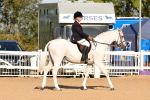 SBM_08282
