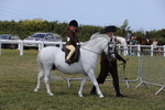 1X9A5028