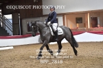 6TH DECEMBER 2025 - DRESSAGE - MUIRMILL EC portfolio