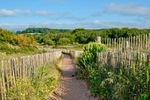 Dawlish Warren nature reserve