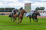 Race 4 15.40pm Ladies' Day Saturday 5th September - Book Now Handicap portfolio