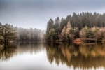 Misty Mallards Pike
