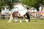 SBM_08778