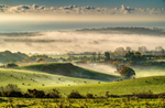 z3692 Morning Mists over Brading
