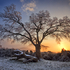 Winter Sunset