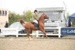 SBM_18431