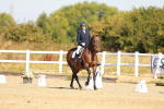 SBM_016643