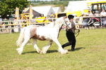 SBM_08659