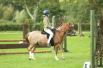 S31 - Working Hunter Pony portfolio