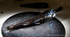 IDD012: Lanternfish