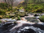 Middle Black Clough