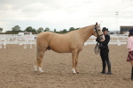 SBM_07663