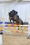 SBM_006381