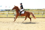 SBM_000594