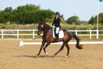 SBM_006954