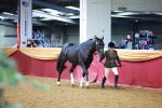 SBM_17089