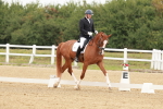 SBM_009343