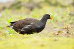 20140527-3K8A1837