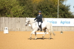 SBM_18662