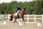 SBM_015832