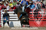 3HRodeo7-28-24_CFD_TJ Gray Champion Poster- 00635_