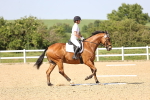 SBM_010256