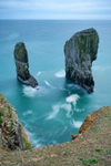 Elegug Stacks  Pembrokeshire