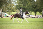 SBM_50195