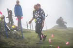 Wansfell-515