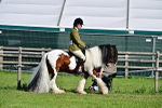 SBM_11579