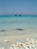 anti paxos