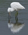 20100710_WE_1275