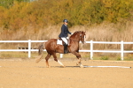 SBM_009287