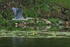 Flying Great Blue Heron, Minnesota, USA