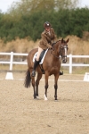 SBM_009631