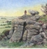 Brimham Rocks