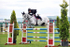 EQUISCOT 9249