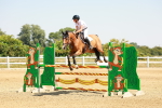 SBM_001335
