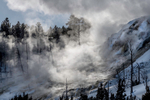 Mammoth Hotsprings