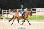 211-Amelia.Dovey-Caederwen.Lady.Elinor portfolio