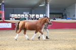 SBM_16697