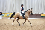 SBM_004606