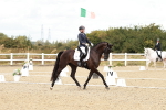 SBM_004862