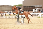 SBM_008495