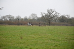 WJ6_1307